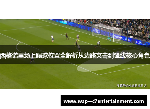 西格诺里场上踢球位置全解析从边路突击到锋线核心角色