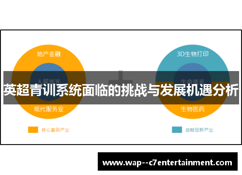 英超青训系统面临的挑战与发展机遇分析