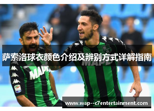 萨索洛球衣颜色介绍及辨别方式详解指南