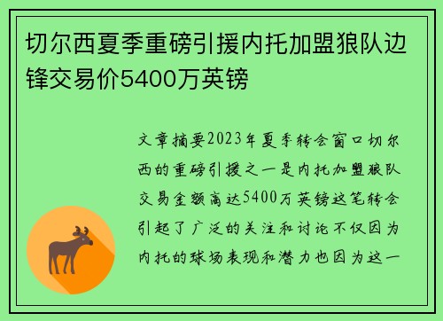 切尔西夏季重磅引援内托加盟狼队边锋交易价5400万英镑