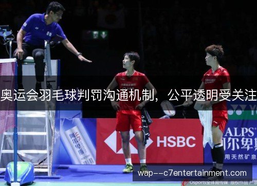 奥运会羽毛球判罚沟通机制，公平透明受关注